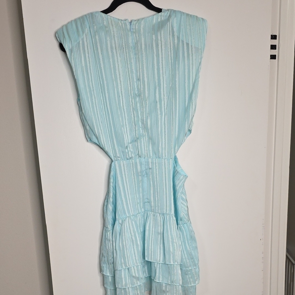 Torn by Ronny Kobo CASSIE SLEEVELESS DRESS - Picture 8 of 9